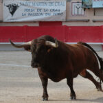 Saint Martin de Crau (Francia) - Sábado 28 de abril de 2018
