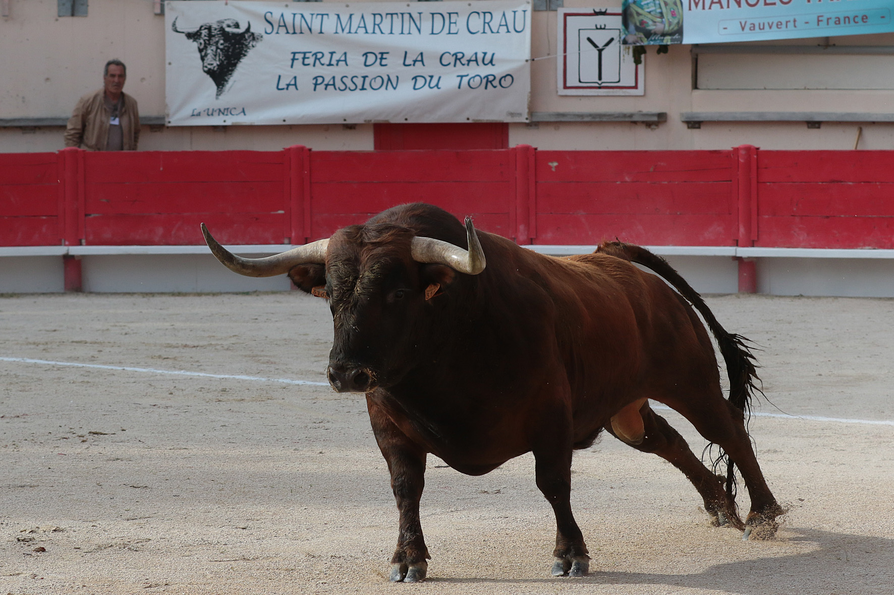 Saint Martin de Crau (Francia) - Sábado 28 de abril de 2018