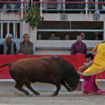 Saint Martin de Crau (Francia) - Sábado 28 de abril de 2018