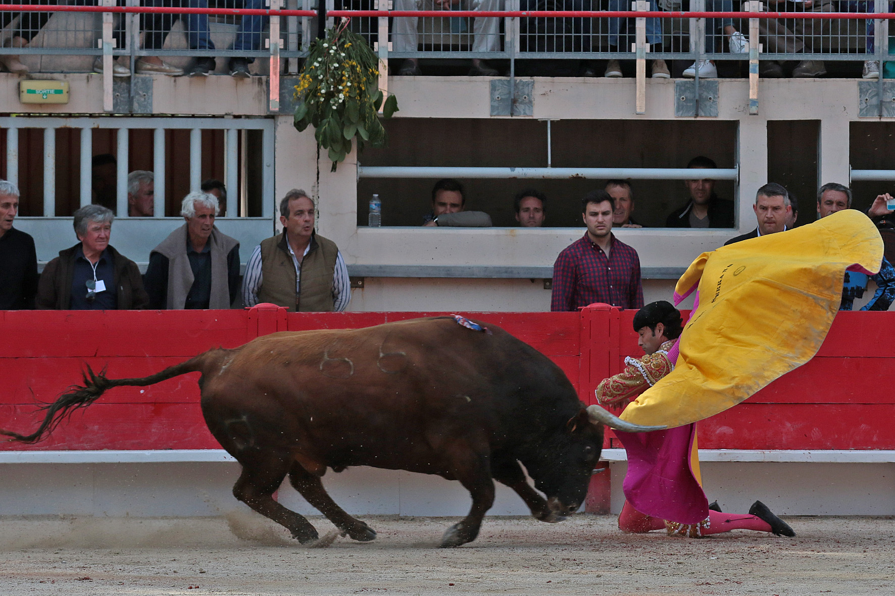 Saint Martin de Crau (Francia) - Sábado 28 de abril de 2018