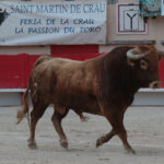 Saint Martin de Crau (Francia) - Sábado 28 de abril de 2018