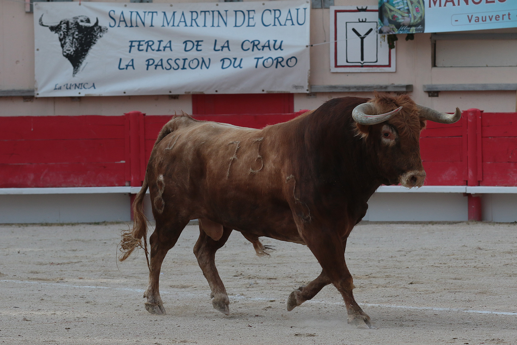 Saint Martin de Crau (Francia) - Sábado 28 de abril de 2018