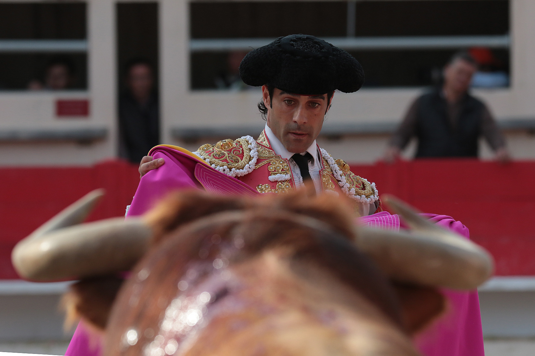Saint Martin de Crau (Francia) - Sábado 28 de abril de 2018