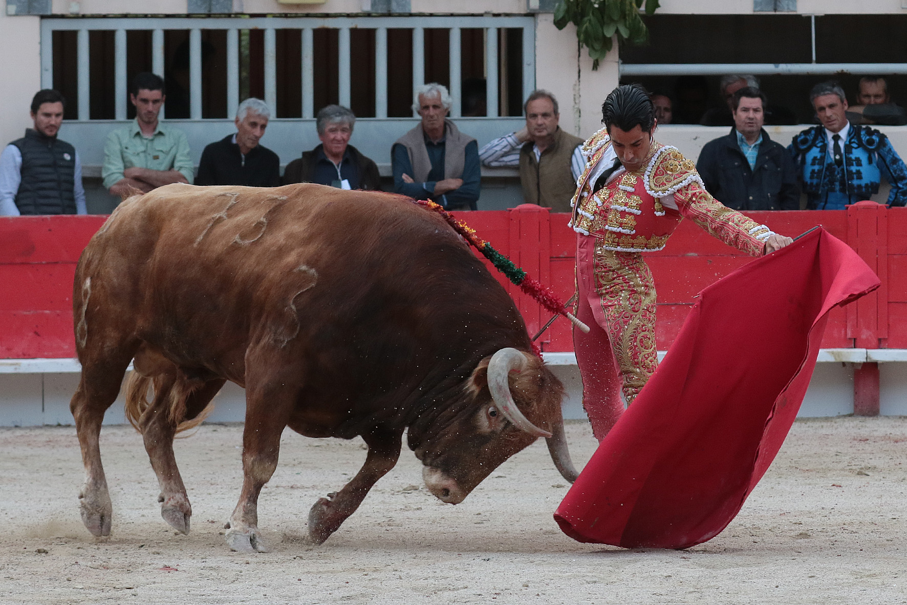 Saint Martin de Crau (Francia) - Sábado 28 de abril de 2018