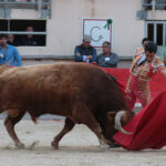 Saint Martin de Crau (Francia) - Sábado 28 de abril de 2018