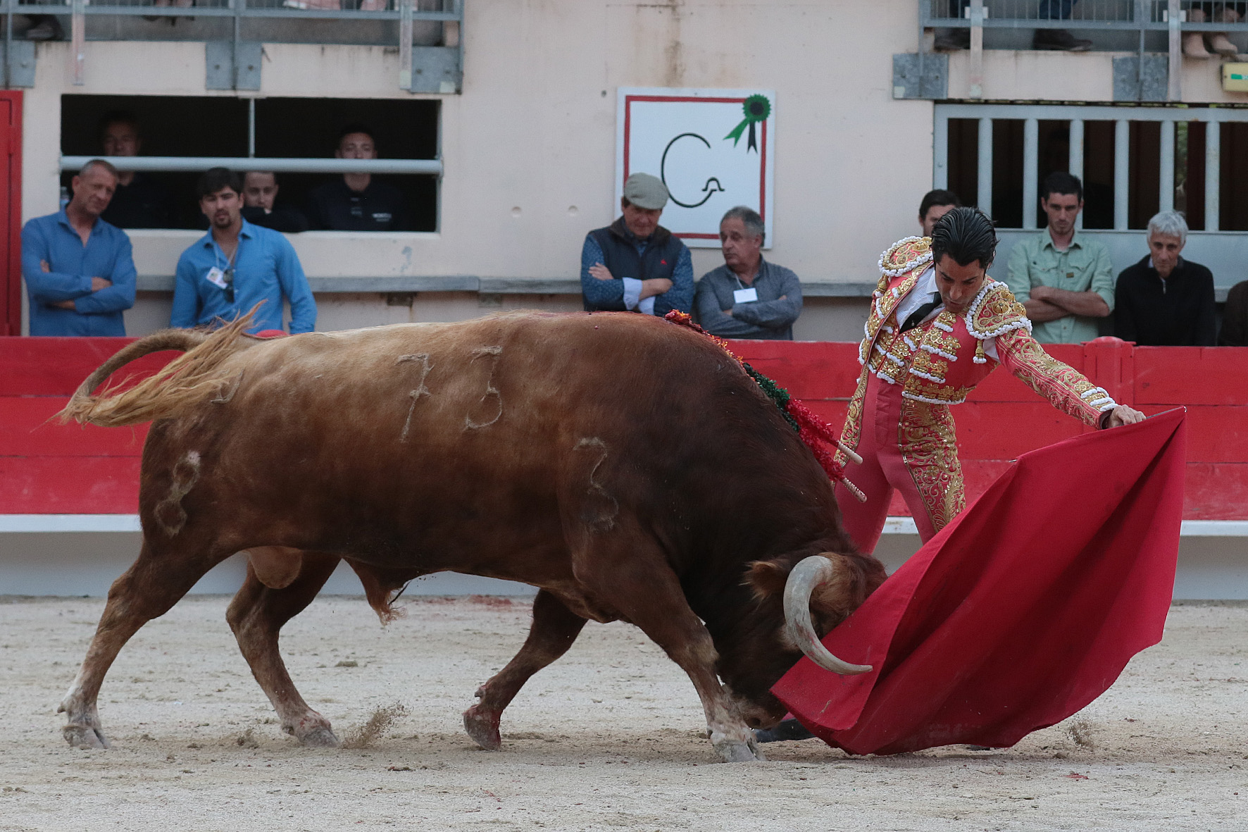 Saint Martin de Crau (Francia) - Sábado 28 de abril de 2018