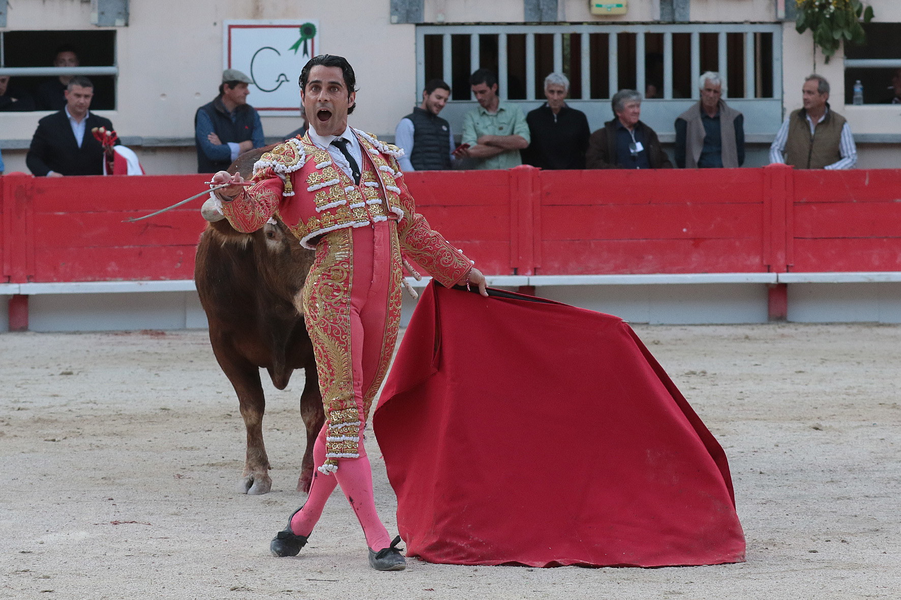 Saint Martin de Crau (Francia) - Sábado 28 de abril de 2018
