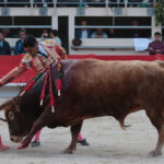 Saint Martin de Crau (Francia) - Sábado 28 de abril de 2018