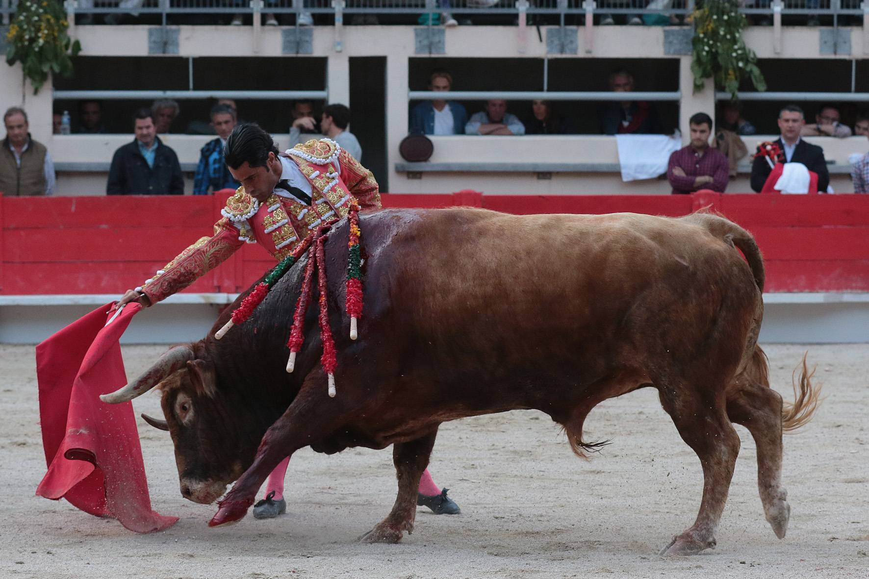 Saint Martin de Crau (Francia) - Sábado 28 de abril de 2018