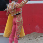 Saint Martin de Crau (Francia) - Sábado 28 de abril de 2018