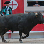 Saint Martin de Crau (Francia) - Sábado 28 de abril de 2018
