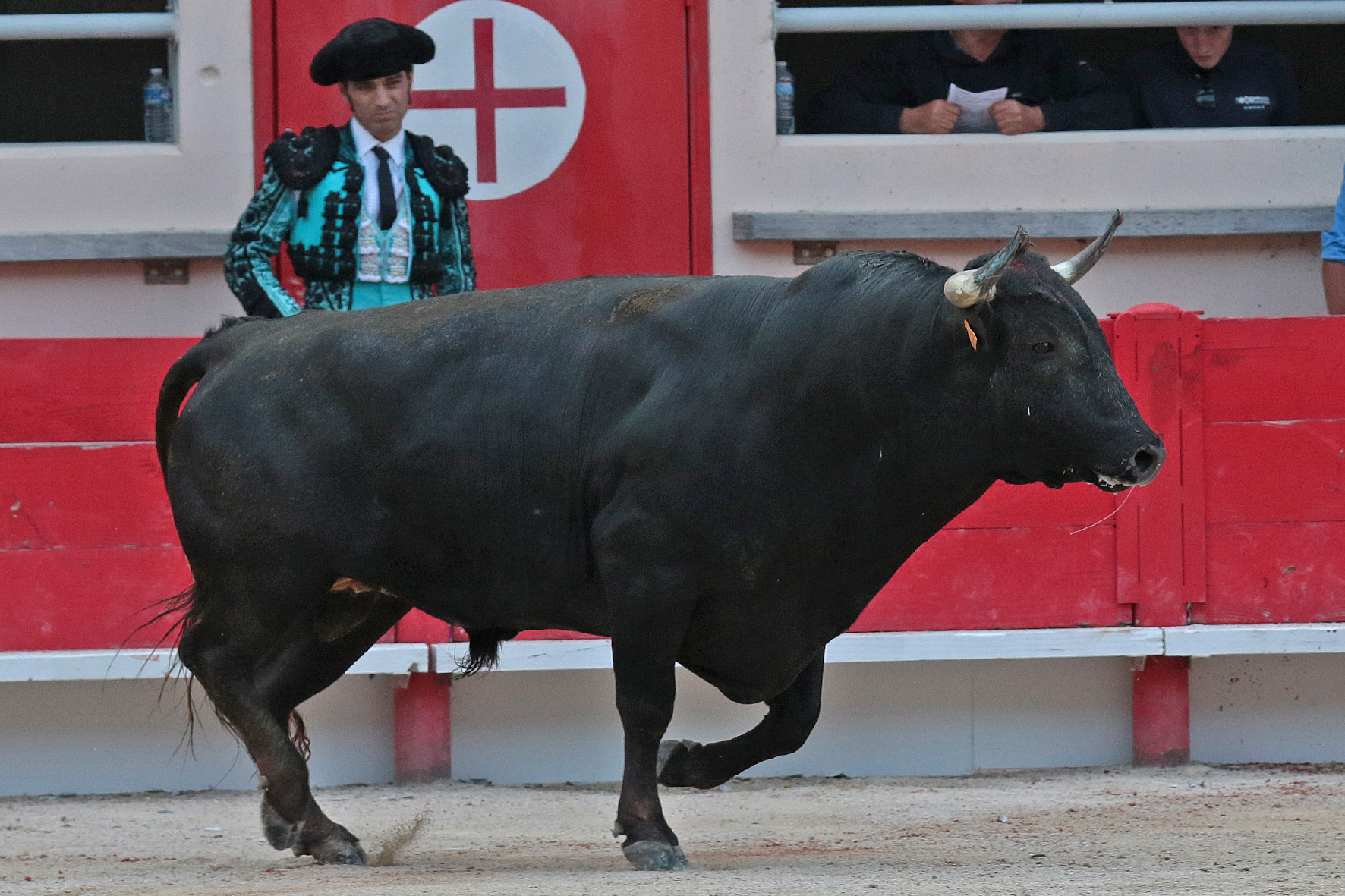 Saint Martin de Crau (Francia) - Sábado 28 de abril de 2018