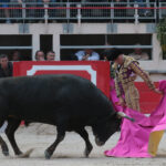 Saint Martin de Crau (Francia) - Sábado 28 de abril de 2018