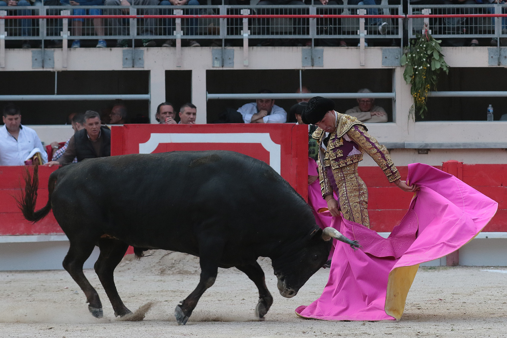 Saint Martin de Crau (Francia) - Sábado 28 de abril de 2018
