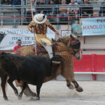 Saint Martin de Crau (Francia) - Sábado 28 de abril de 2018