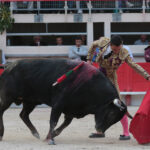 Saint Martin de Crau (Francia) - Sábado 28 de abril de 2018