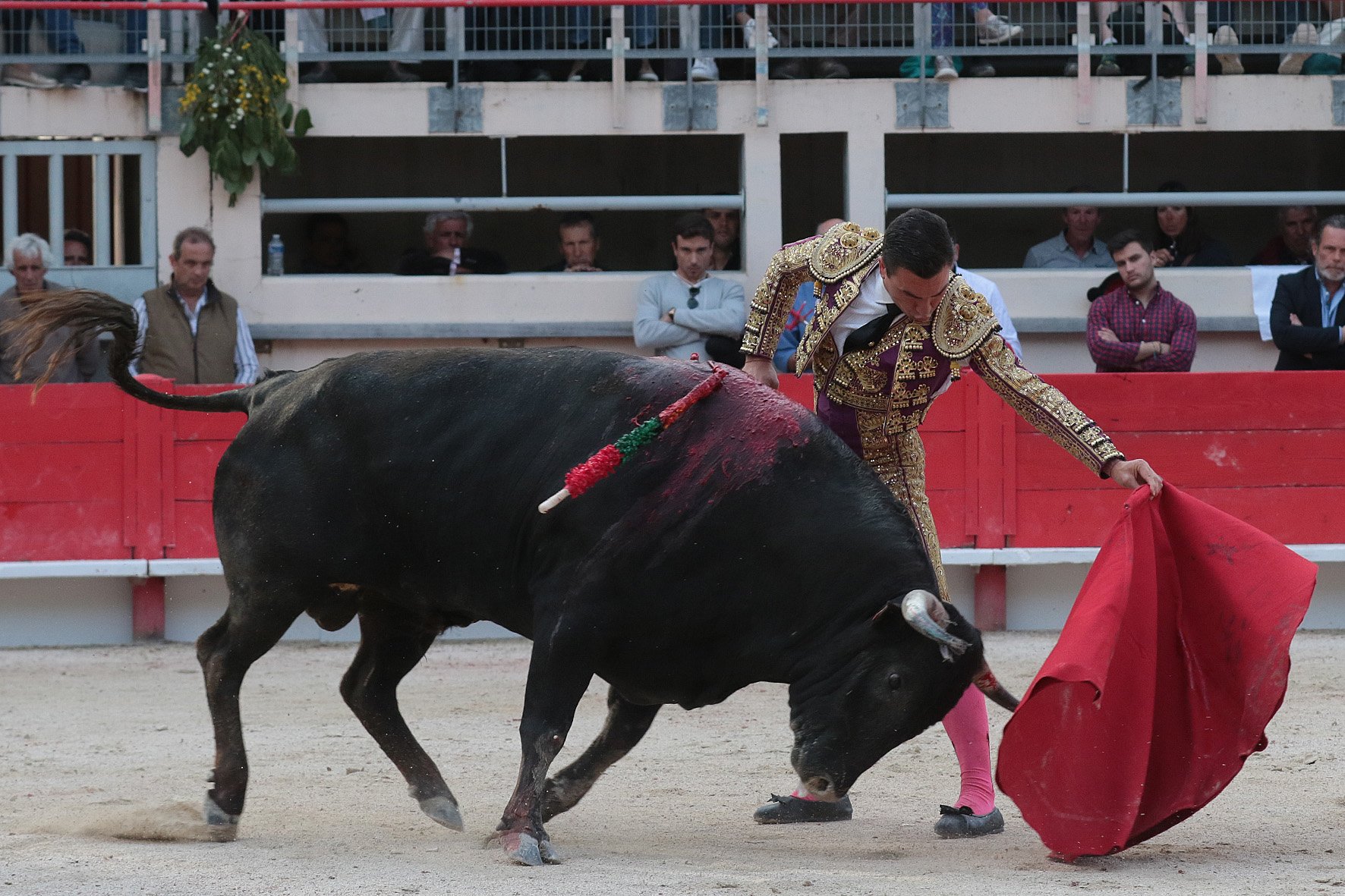 Saint Martin de Crau (Francia) - Sábado 28 de abril de 2018