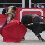 Saint Martin de Crau (Francia) - Sábado 28 de abril de 2018