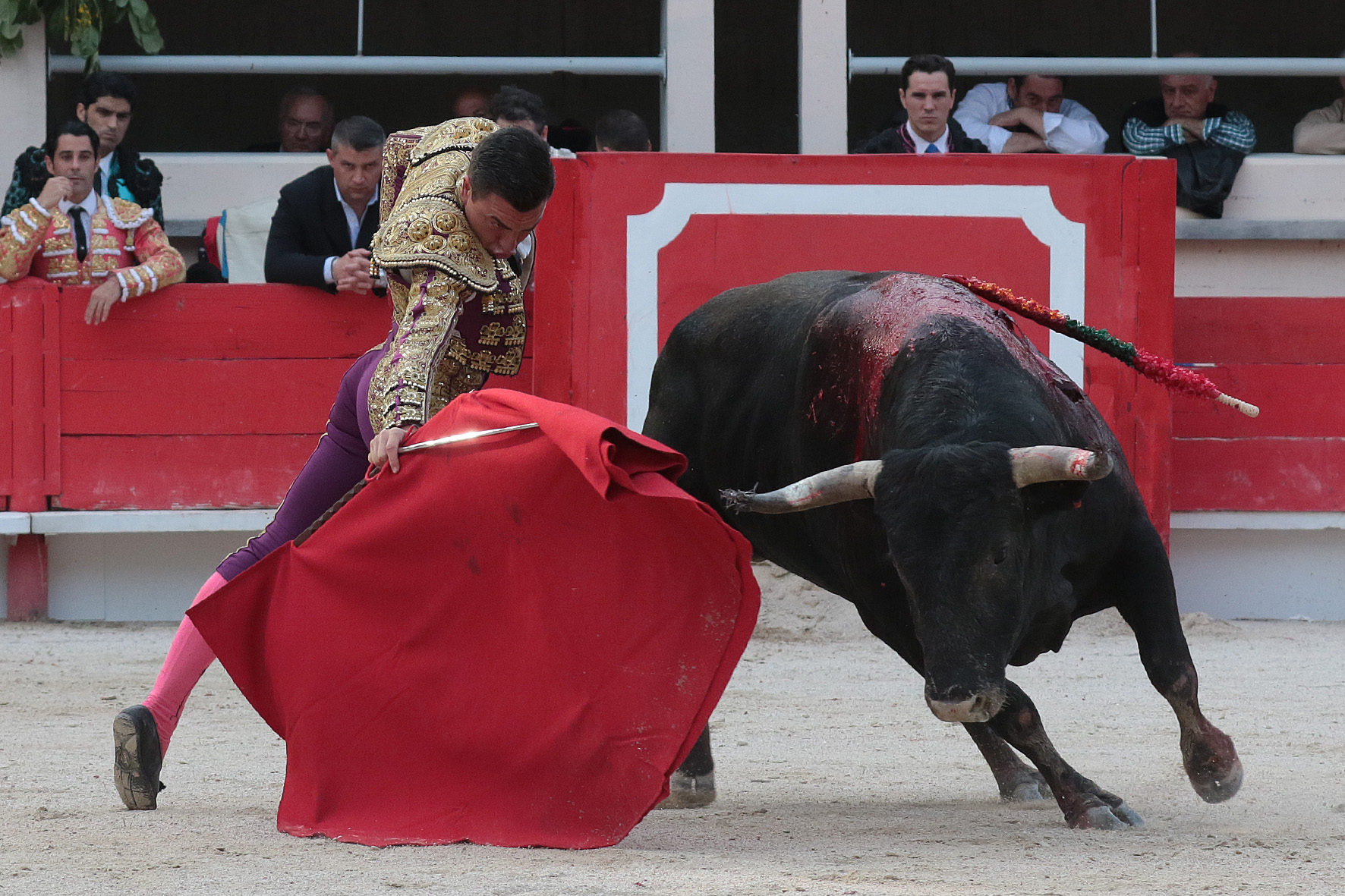 Saint Martin de Crau (Francia) - Sábado 28 de abril de 2018
