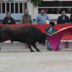 Saint Martin de Crau (Francia) - Sábado 28 de abril de 2018