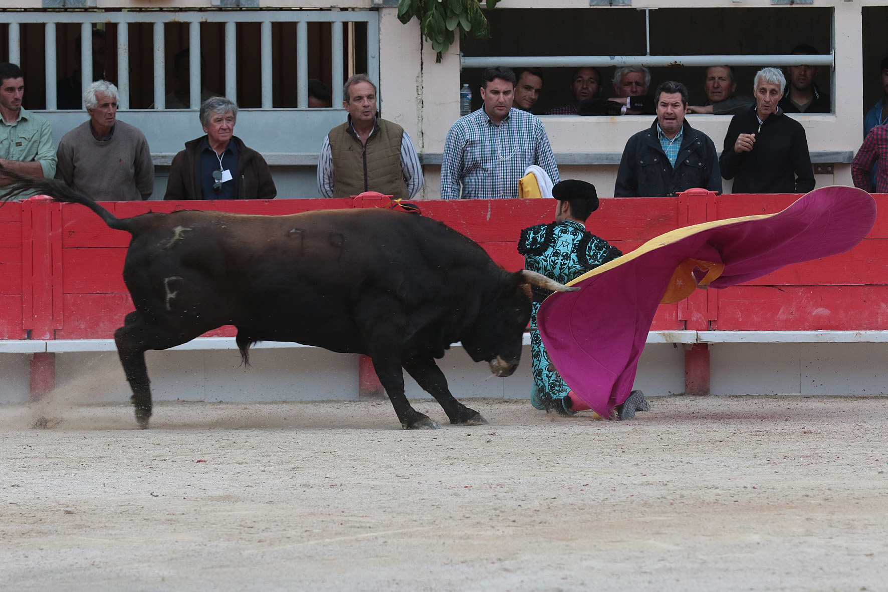 Saint Martin de Crau (Francia) - Sábado 28 de abril de 2018