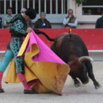 Saint Martin de Crau (Francia) - Sábado 28 de abril de 2018