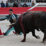 Saint Martin de Crau (Francia) - Sábado 28 de abril de 2018
