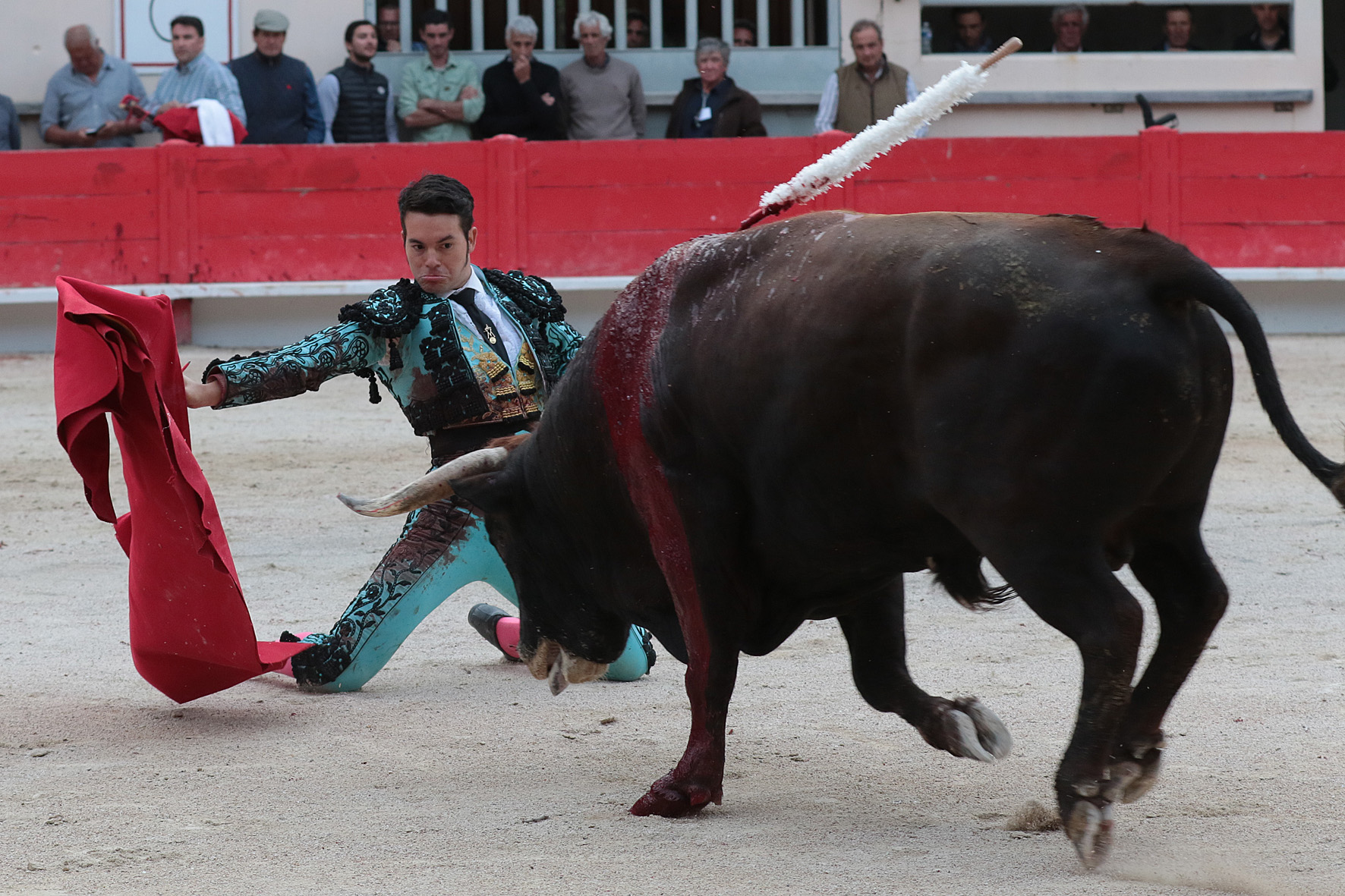 Saint Martin de Crau (Francia) - Sábado 28 de abril de 2018