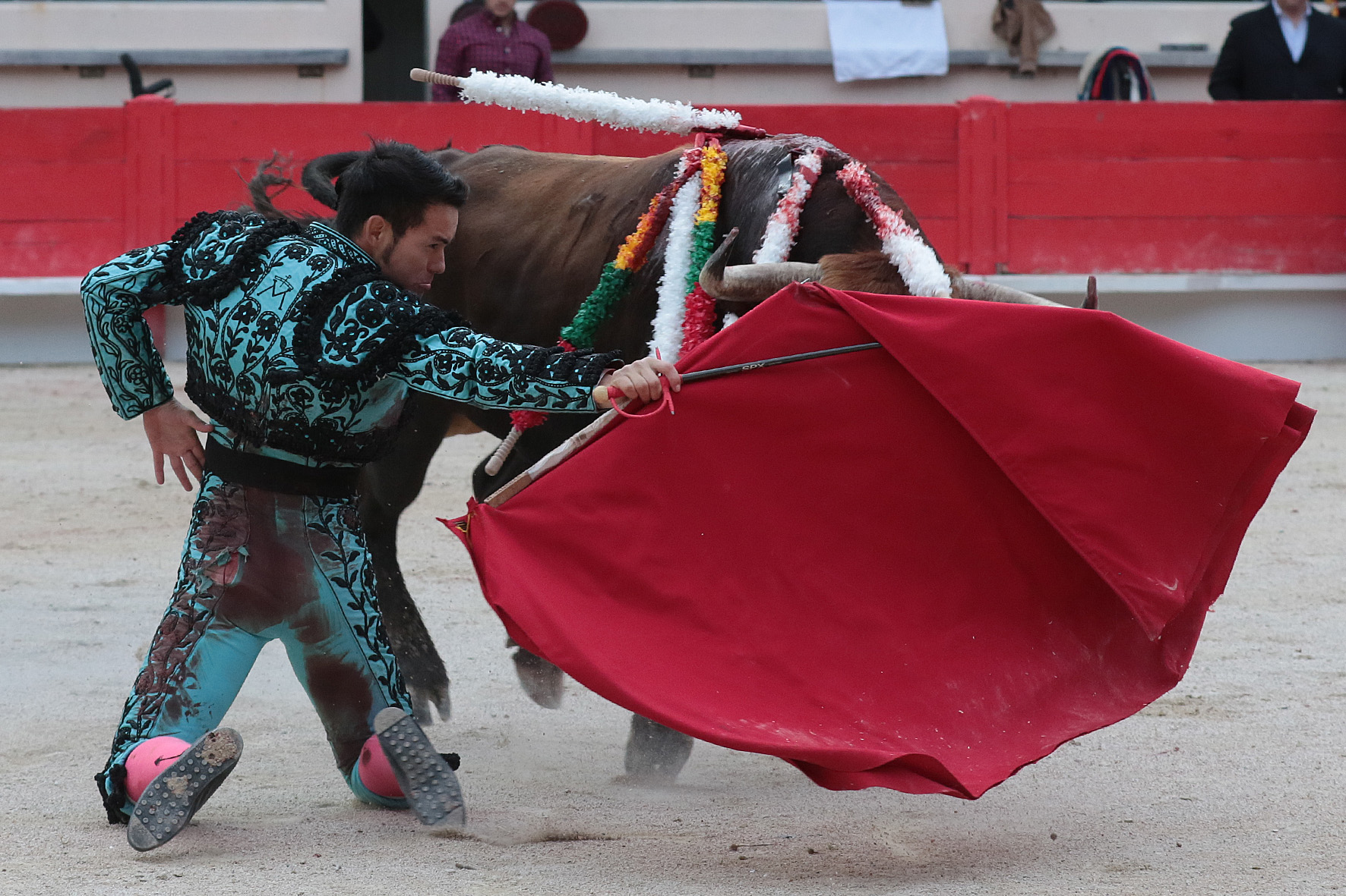 Saint Martin de Crau (Francia) - Sábado 28 de abril de 2018