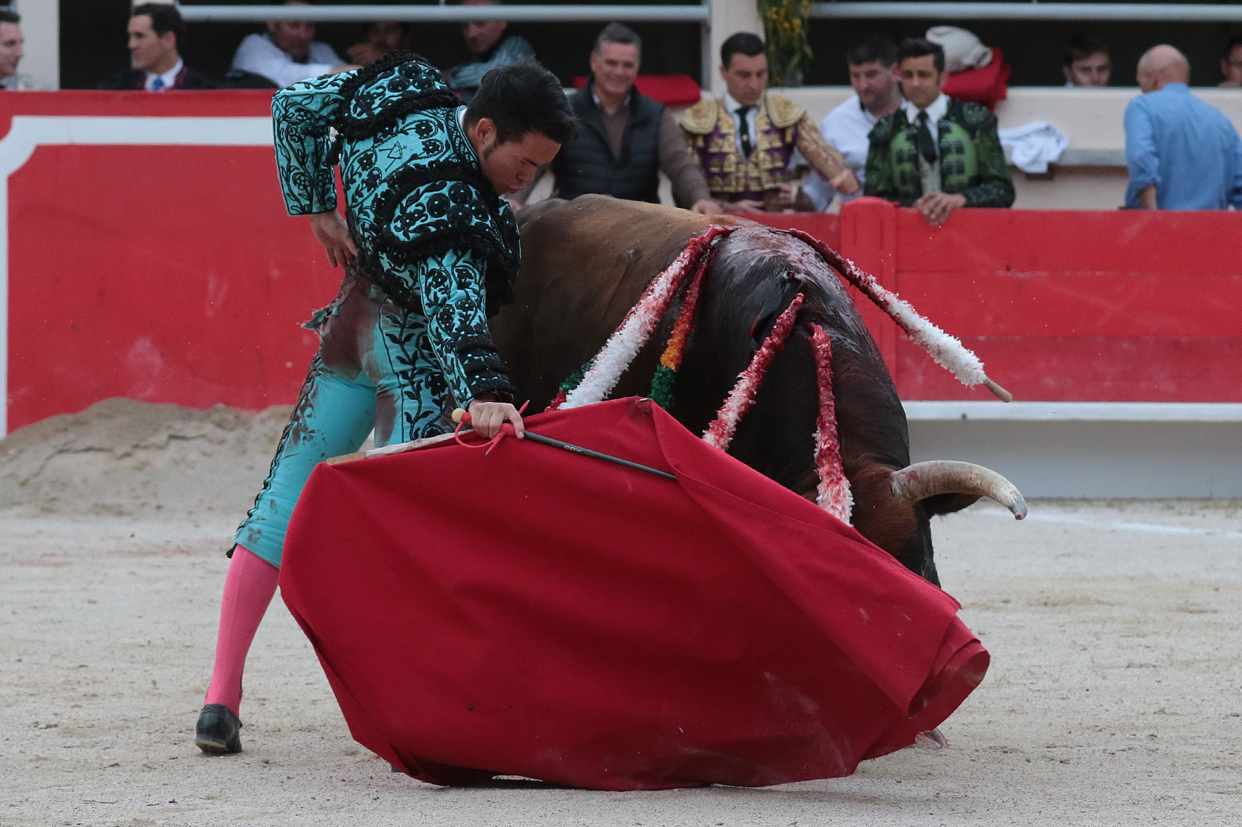 Saint Martin de Crau (Francia) - Sábado 28 de abril de 2018