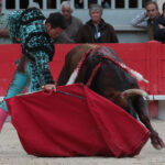 Saint Martin de Crau (Francia) - Sábado 28 de abril de 2018