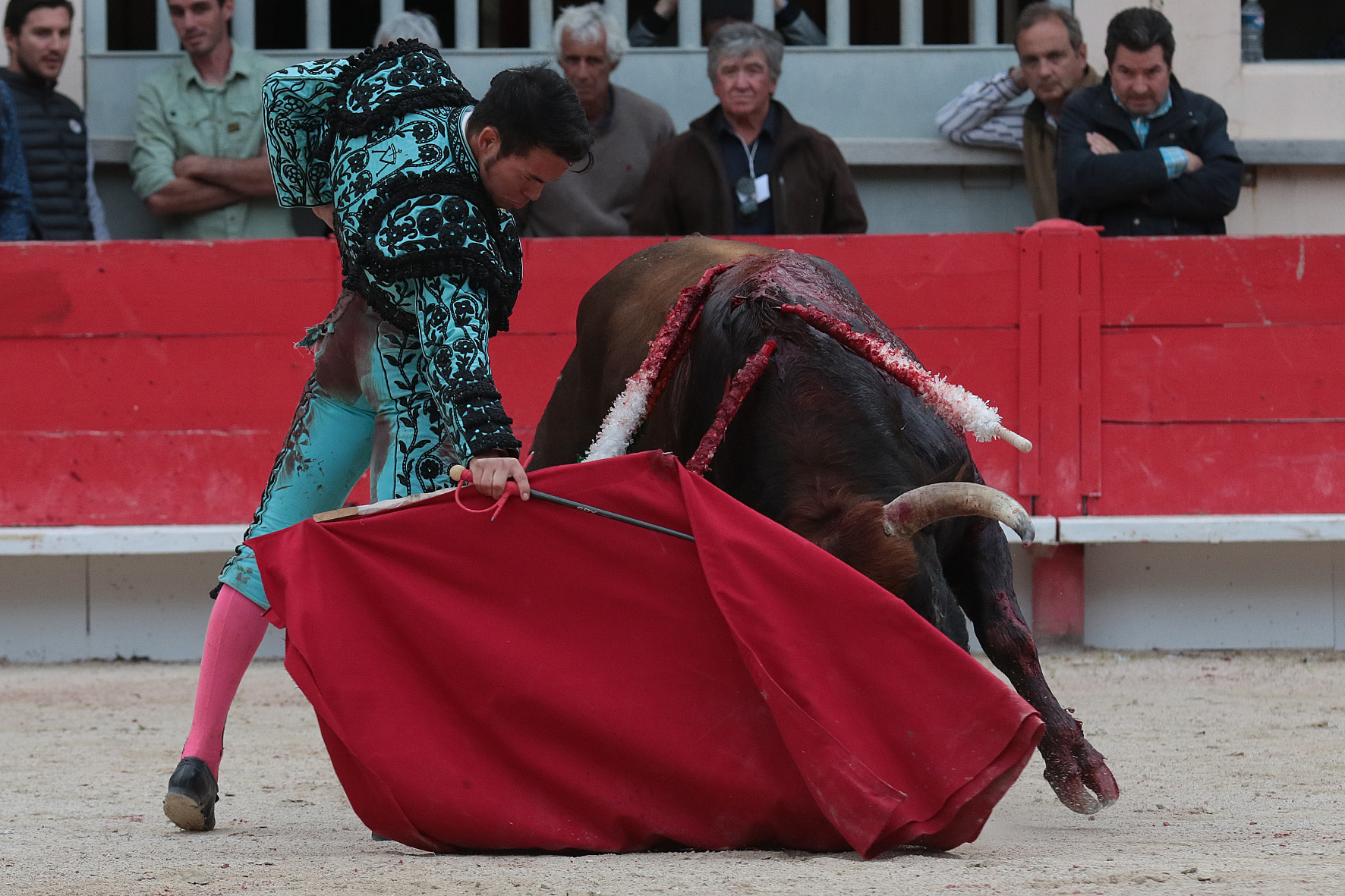 Saint Martin de Crau (Francia) - Sábado 28 de abril de 2018