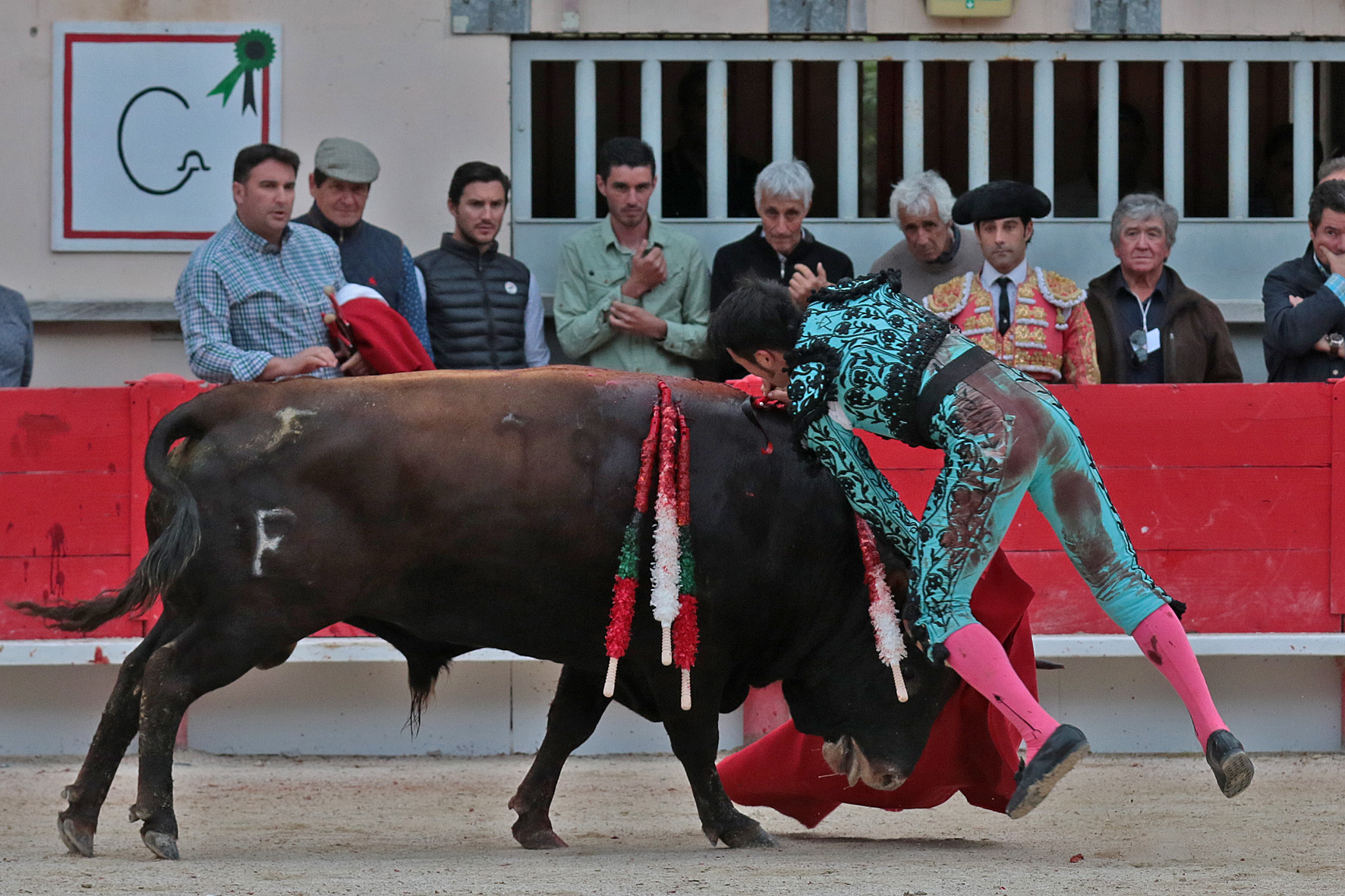 Saint Martin de Crau (Francia) - Sábado 28 de abril de 2018