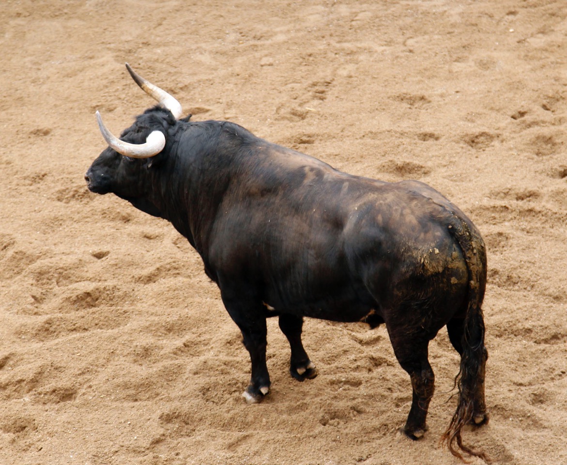 Sevilla - Sorteo - Corrida de toros - Domingo 8 de abril de 2018