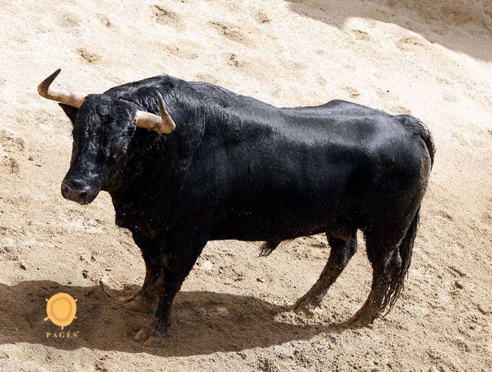 Sevilla - Sorteo de los toros de Fuente Ymbro - Sábado 21 de abril de 2018