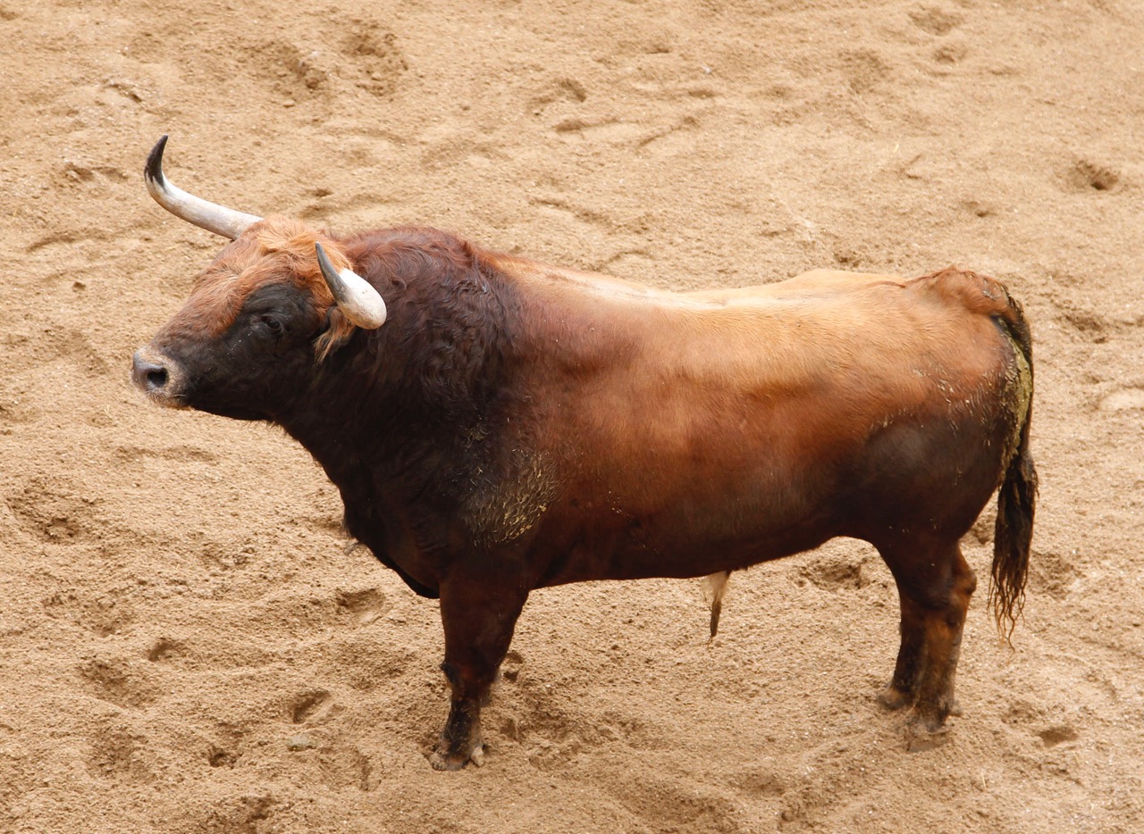 Sevilla - Sorteo - Corrida de toros - Domingo 8 de abril de 2018