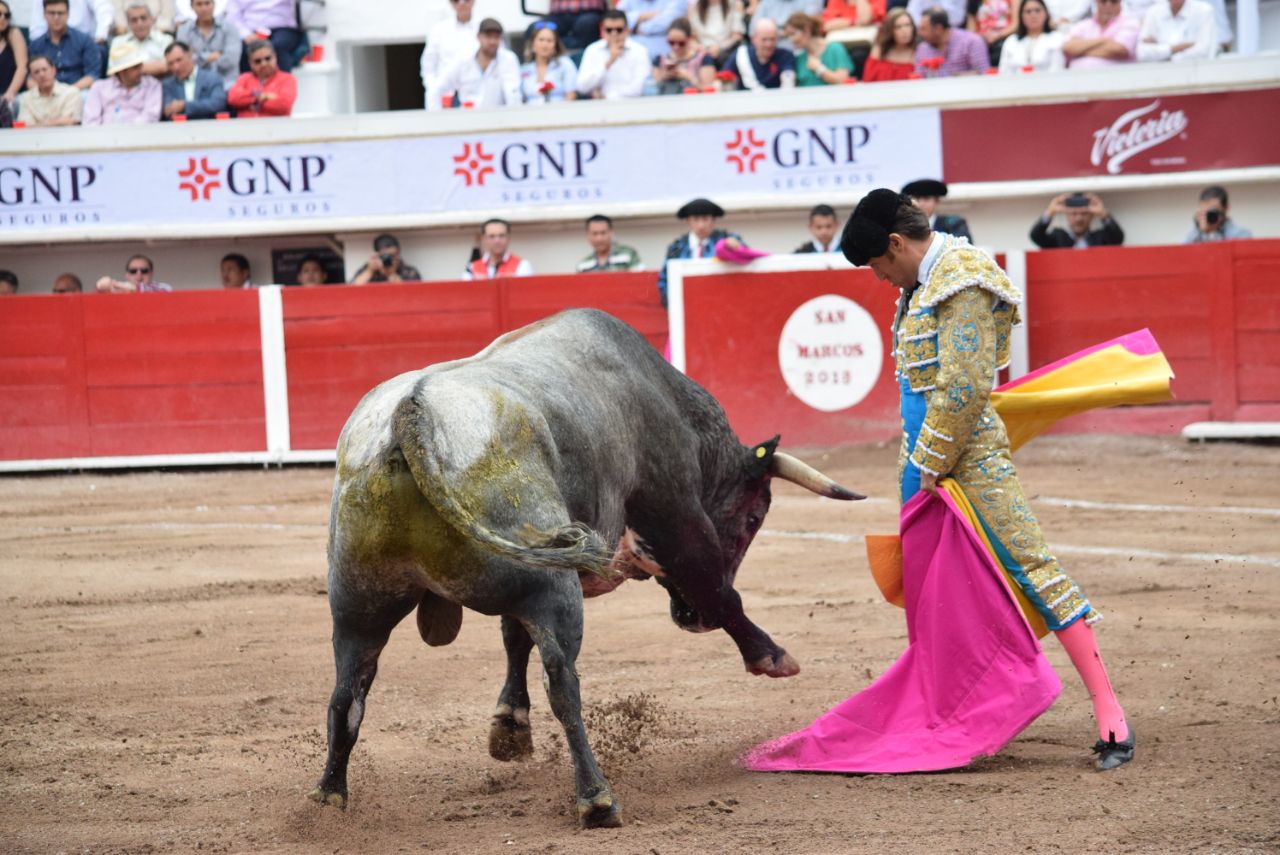 Aguascalientes (México), domingo 22 de abril de 2018.