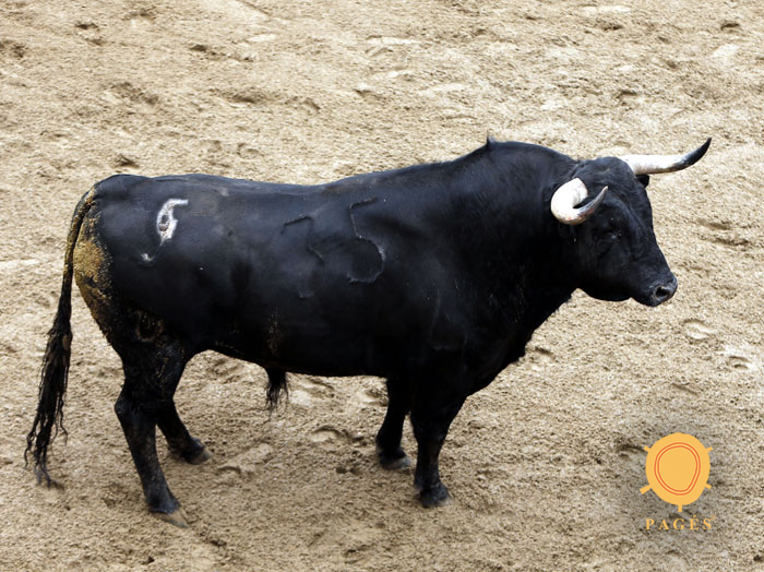 5. Número 35. Sosito. Negro. 585 kilos. 02/2014 Hnos. García Jiménez