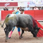 Aguascalientes (México), domingo 22 de abril de 2018.