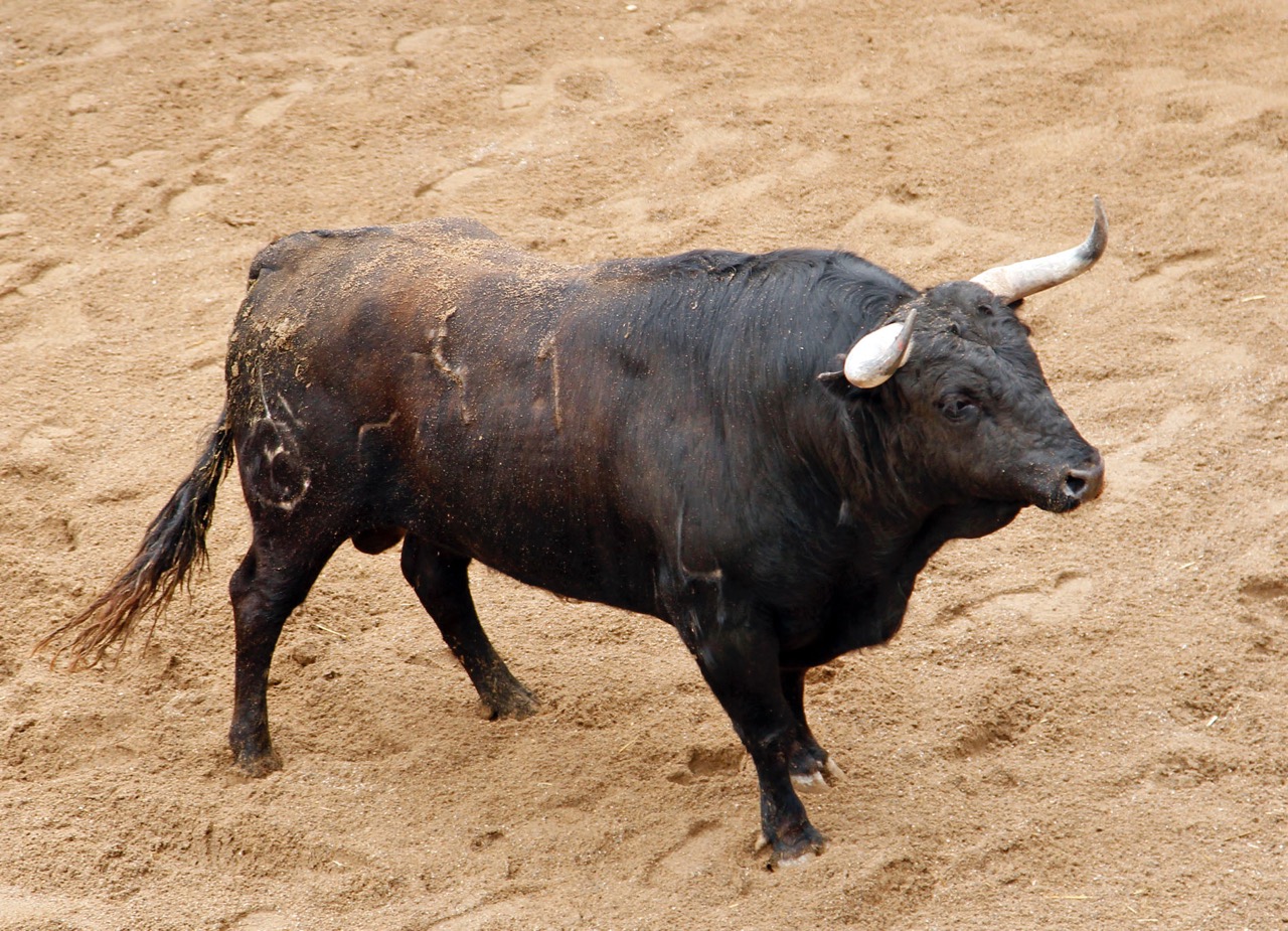 Sevilla - Sorteo - Corrida de toros - Domingo 8 de abril de 2018