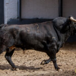 Sorteo Madrid, 15 de abril de 2018