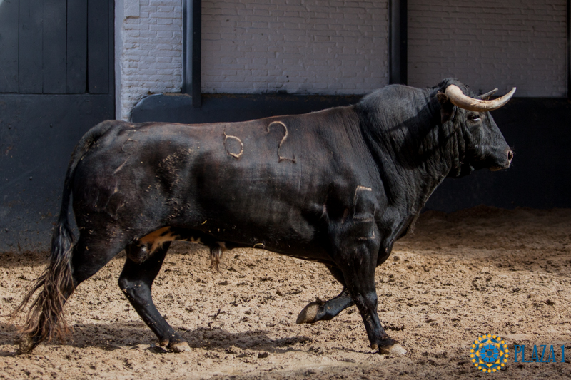 Sorteo Madrid, 15 de abril de 2018