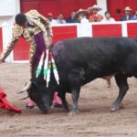 Aguascalientes (México), domingo 22 de abril de 2018.