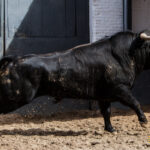 Sorteo Madrid, 15 de abril de 2018