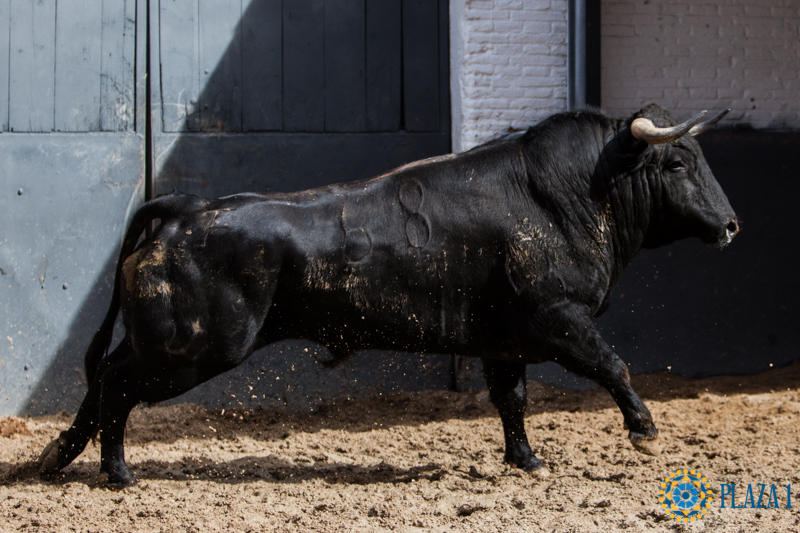 Sorteo Madrid, 15 de abril de 2018