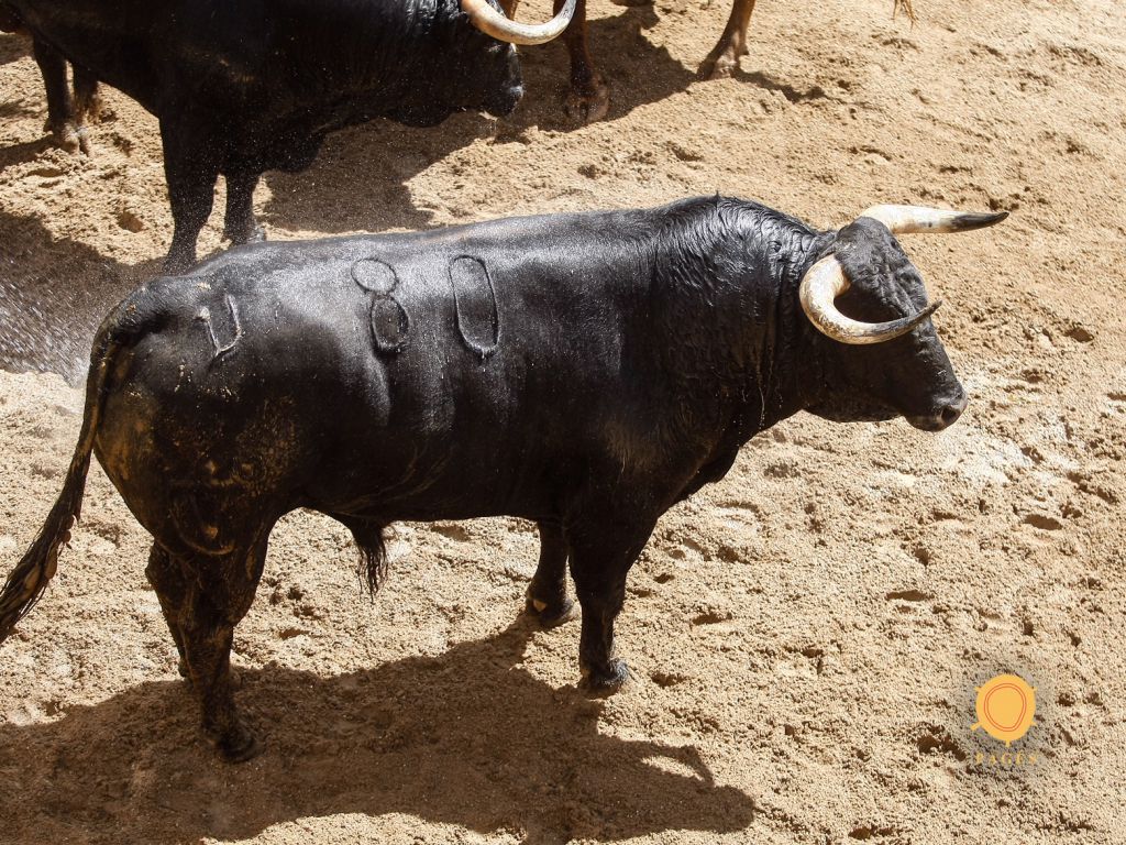 Toros de Juan Pedro Domecq para el 20 de abril de 2018 en Sevilla.