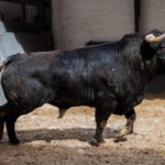 Sorteo Madrid, 15 de abril de 2018