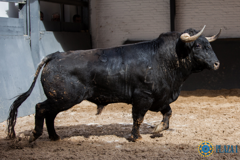 Sorteo Madrid, 15 de abril de 2018