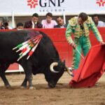 Aguascalientes (México), domingo 22 de abril de 2018.