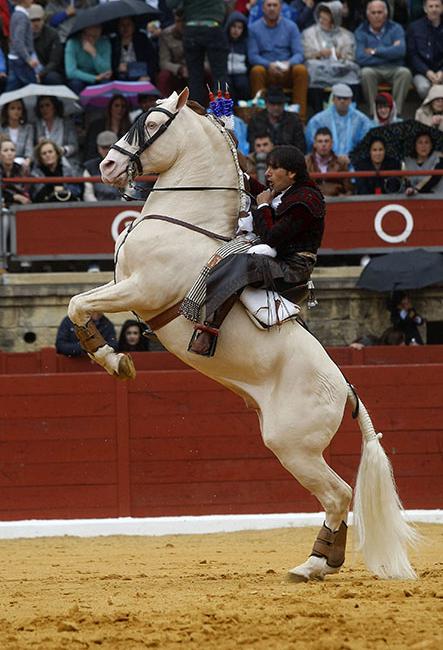 Espartinas, 15 de abril de 2018